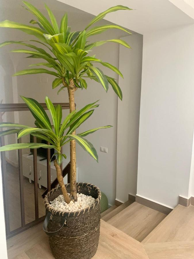 Puerta De Caceres Apartamento 2 Zewnętrze zdjęcie